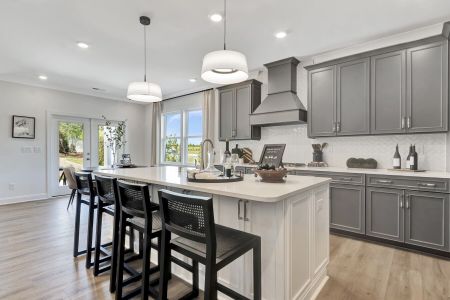 Spring Grove by M/I Homes in Huntersville - image 7