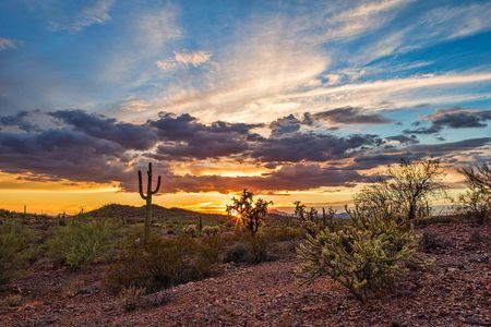 Close proximity to Estrella Mountain Regional Park