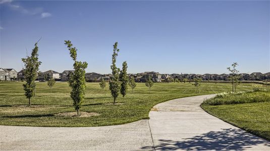 Willow Bend: The Grand Collection 23