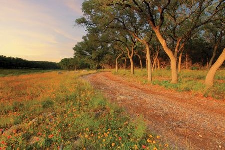 Lakeside at Tessera on Lake Travis - Master planned community in Lago Vista, TX 16 16