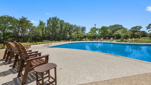 Lively Ranch Emerald by D.R. Horton in Georgetown - photo 83 83