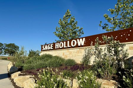 Sage Hollow by Milestone Community Builders in Kyle - photo 0