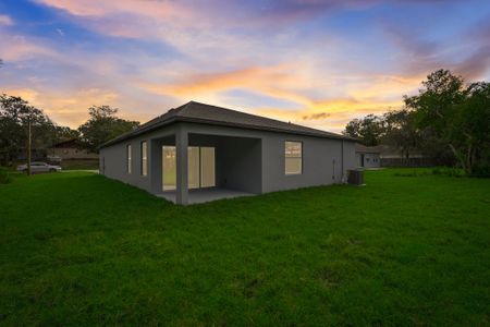 Hammock Reserve by Maronda Homes in Haines City - photo 17 17