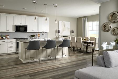 Prelude at Sterling Ranch by Tri Pointe Homes in Littleton - photo 20 20