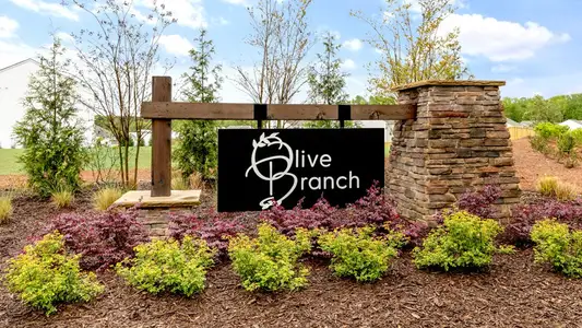 Olive Branch by D.R. Horton in Clayton - photo 37 37