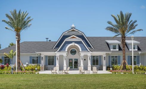 Palmera 36