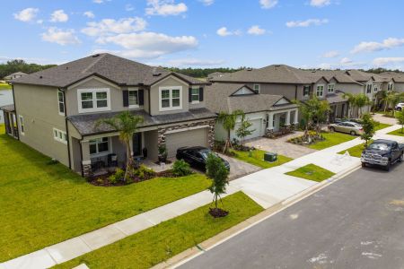 Berry Bay by M/I Homes in Wimauma - photo 22 22