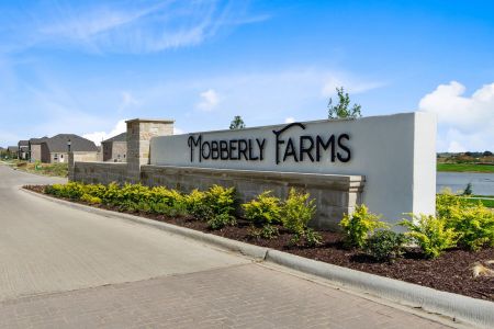 Mobberly Farms by M/I Homes in Pilot Point - photo 2 2