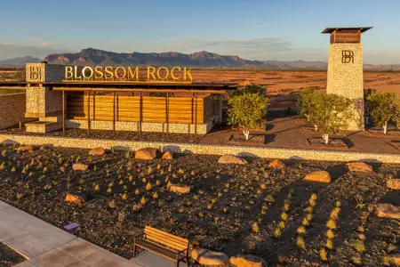 Blossom Rock by Tri Pointe Homes in Apache Junction - image