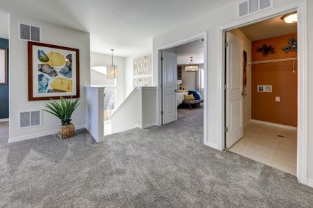 Coyote Creek by Challenger Homes in Fort Lupton - photo 21 21