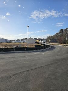 The Paddocks at Doc Hughes by Beazer Homes in Buford - photo 45 45