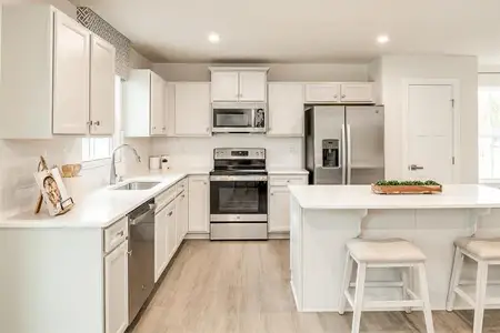 Serenity 55+ by Ryan Homes in Dallas - image 5