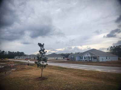 Creekside Landing by Maronda Homes in Callahan - photo 36 36