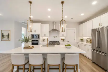 Point Hope - Garden Collection by David Weekley Homes in Charleston - image 7