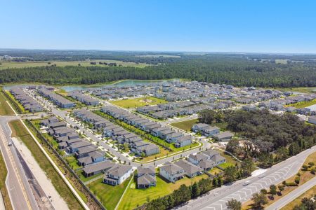 Whispering Oaks Preserve by M/I Homes in Wesley Chapel - photo 1 1