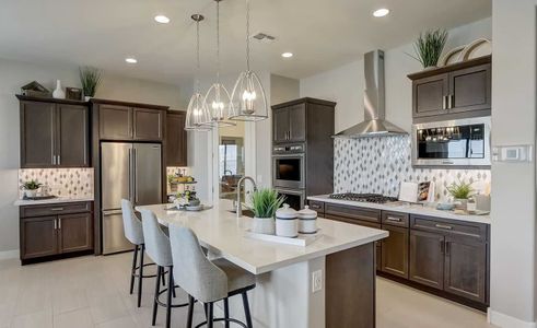 Canyon Views - Hacienda by Brightland Homes in Litchfield Park - photo 25 25