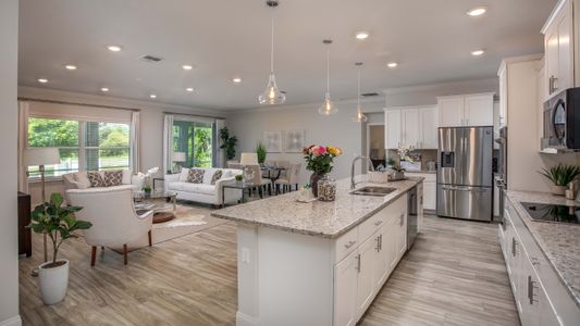 Palm Coast by Maronda Homes in Palm Coast - photo 20 20