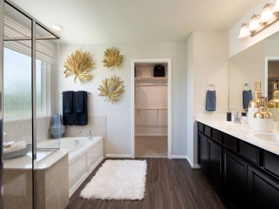Big Sky Ranch - Heritage Collection by Meritage Homes in Dripping Springs - photo 15 15