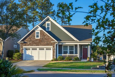 Cresswind Charleston by Kolter Homes in Summerville - photo 7 7