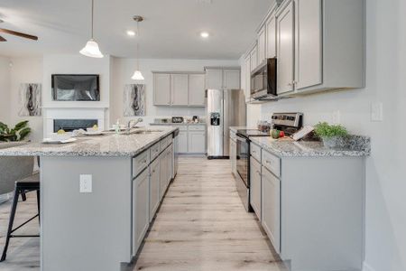 Solterra Texas by Direct Residential Communities in Mesquite - image 13