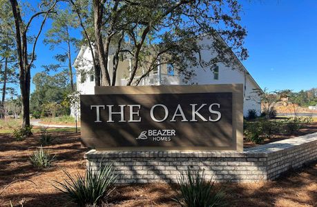 The Oaks by Beazer Homes in Goose Creek - photo 0