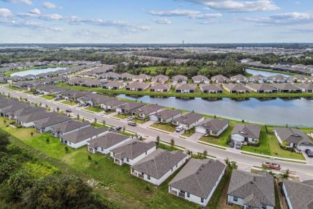 Trevesta by M/I Homes in Palmetto - photo 0 0