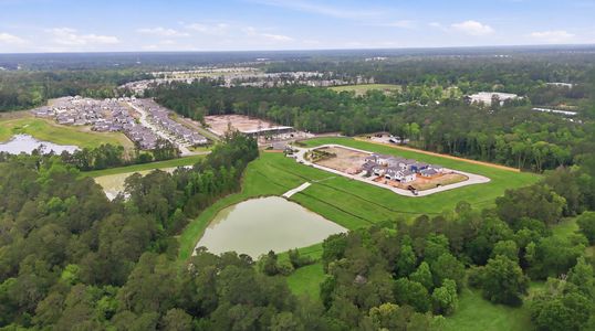 The Lakes at Black Oak Villas by Century Communities in Magnolia - image