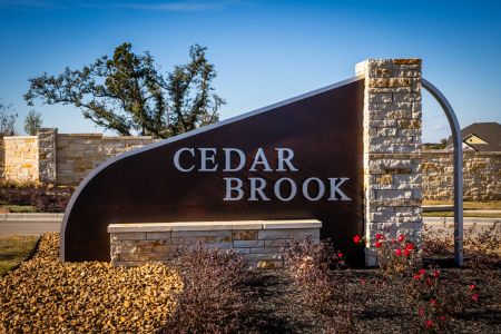 Cedar Brook by M/I Homes in Leander - photo 0