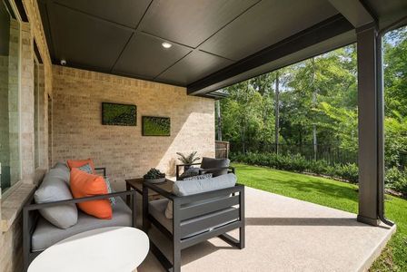 The Woodlands Hills 45' by David Weekley Homes in Willis - image 5