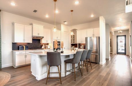 Treeline by Beazer Homes in Justin - photo 11 11