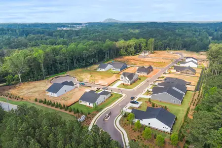 Easton Park by Fischer Homes in Dallas - image