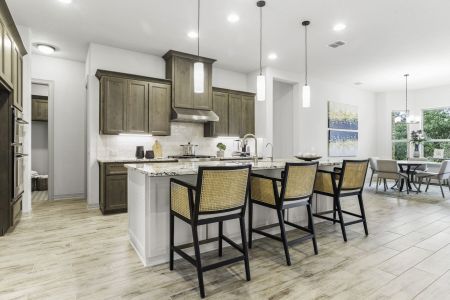 Belle Oaks by Sitterle Homes in Bulverde - photo 42 42