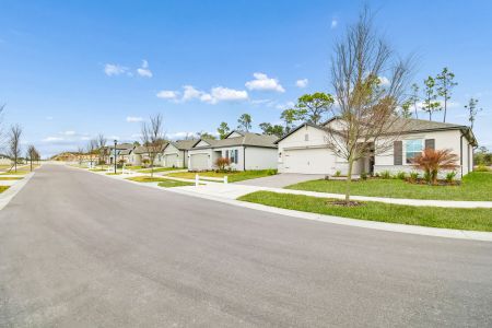 Berry Bay by M/I Homes in Wimauma - image 18