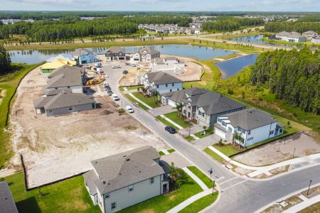 K-Bar Ranch Gilded Woods by M/I Homes in Tampa - photo 6 6