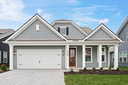 Enclave at Copahee Sound by Dream Finders Homes in Awendaw - photo 1 1