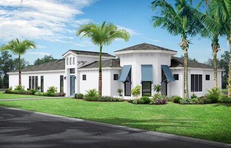 Aqua Single Family Homes by Medallion Home in Bradenton - photo 7 7