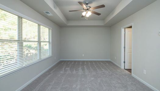 The Reserve At Clock Tower by Stephen Elliott Homes in Douglasville - photo 8 8