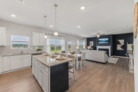 The Hills at Cedar Creek by Direct Residential Communities in Winder - image 11