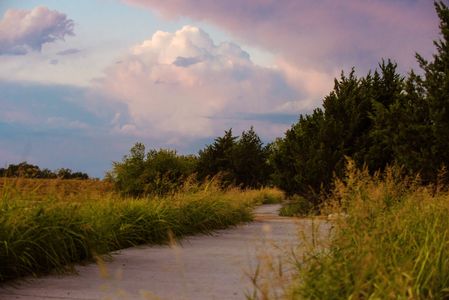 Painted Tree Woodland District 70 by Bloomfield Homes in McKinney - image