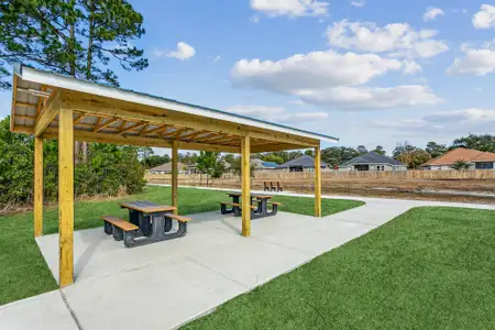 Buckeyes Landing by Herbst Homes in Navarre - image 15