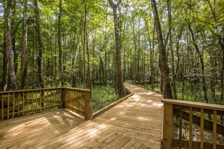 South Creek at Shearwater by David Weekley Homes in St. Augustine - photo 30 30