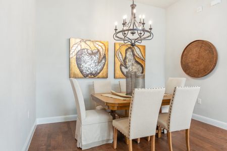 Vinedo in Mira Lagos Villas by Grenadier Homes in Grand Prairie - photo 15 15