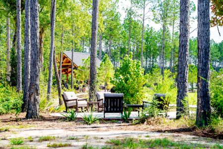 Longleaf by DSLD Homes in Lumberton - image 2