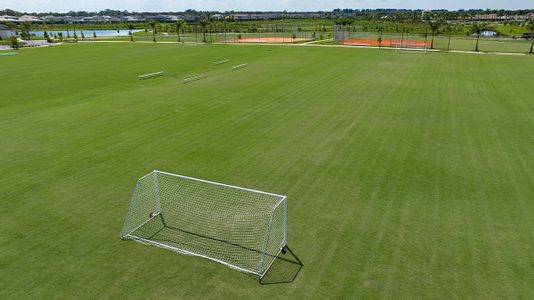 Cassia at Skye Ranch 113