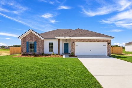 Doctor's Creek by RTS Homes in Ludowici - image