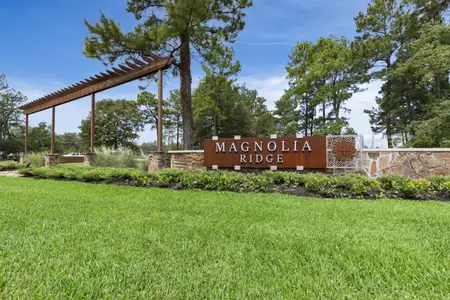 Magnolia Ridge by M/I Homes in Magnolia - photo 1 1