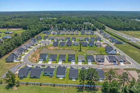 Spring Oaks by Dream Finders Homes in Conway - image