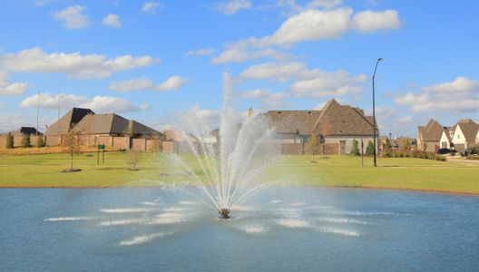 Wellington by American Legend Homes in Fort Worth - image 14