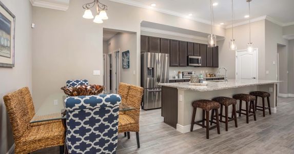 Graceland Estates by Maronda Homes in Thonotosassa - photo 20 20