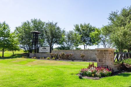 Bridges at Preston Crossings by Mattamy Homes in Gunter - image 13